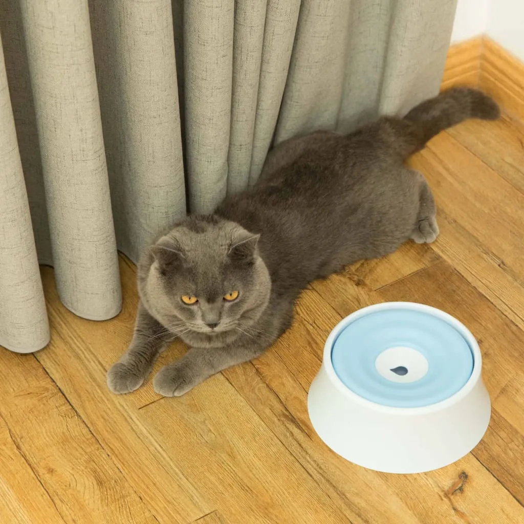 Anti-Splash Water Dispenser for Pets