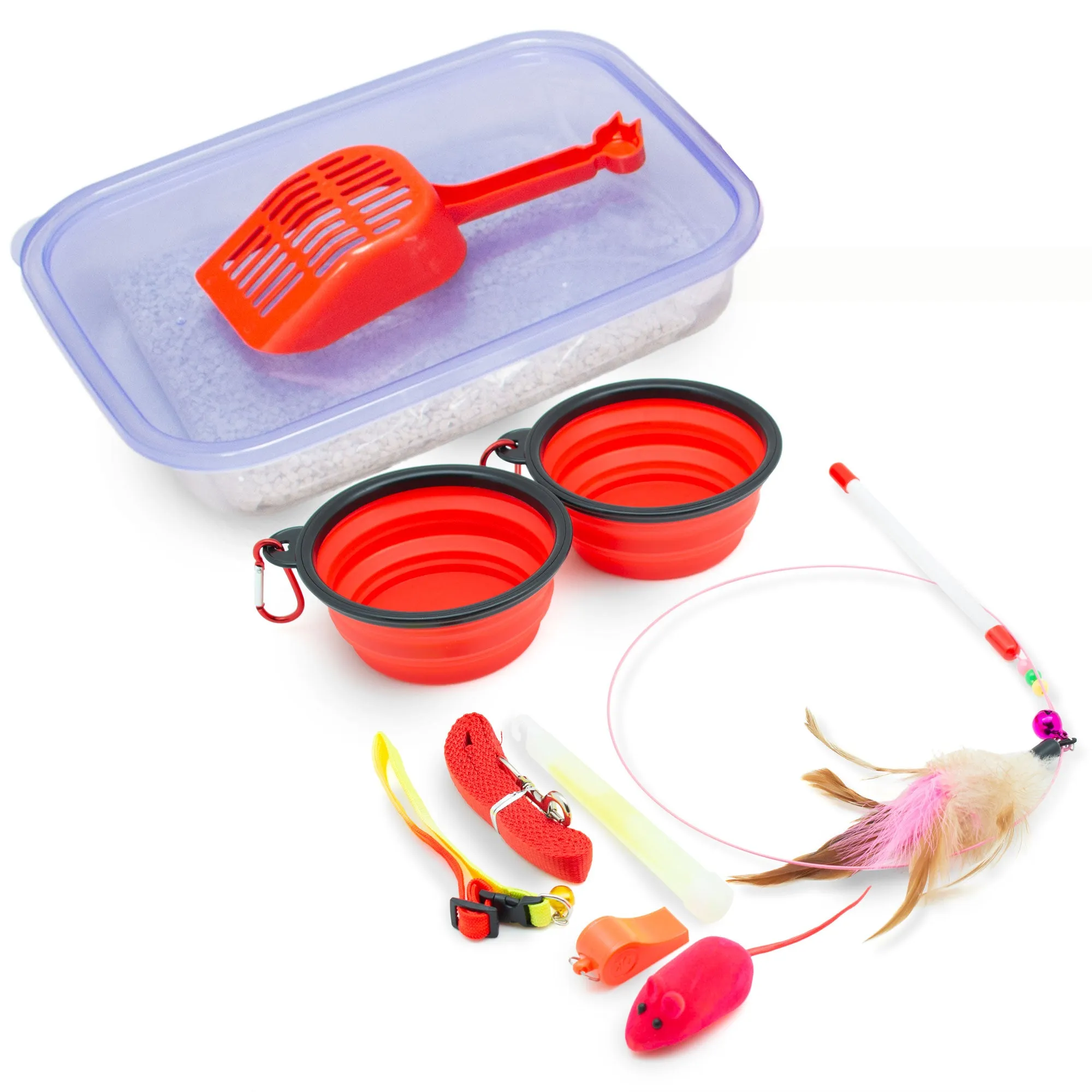 Basic Cat Emergency Kit