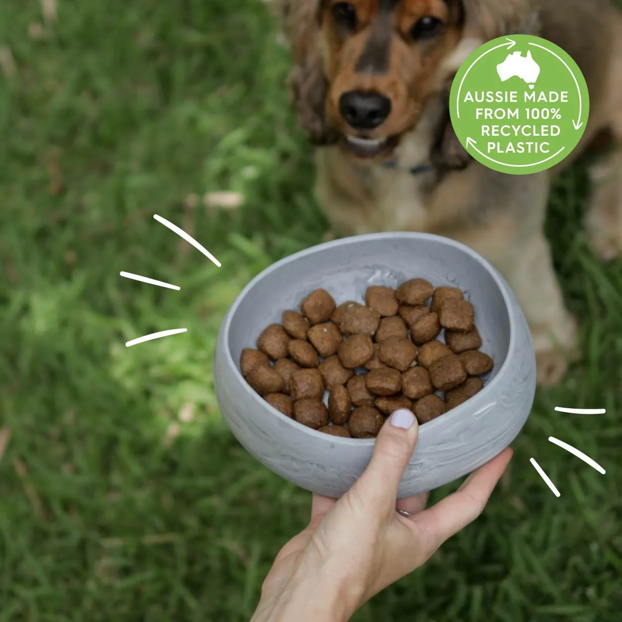 Better Bowl For Dogs - Ash Grey