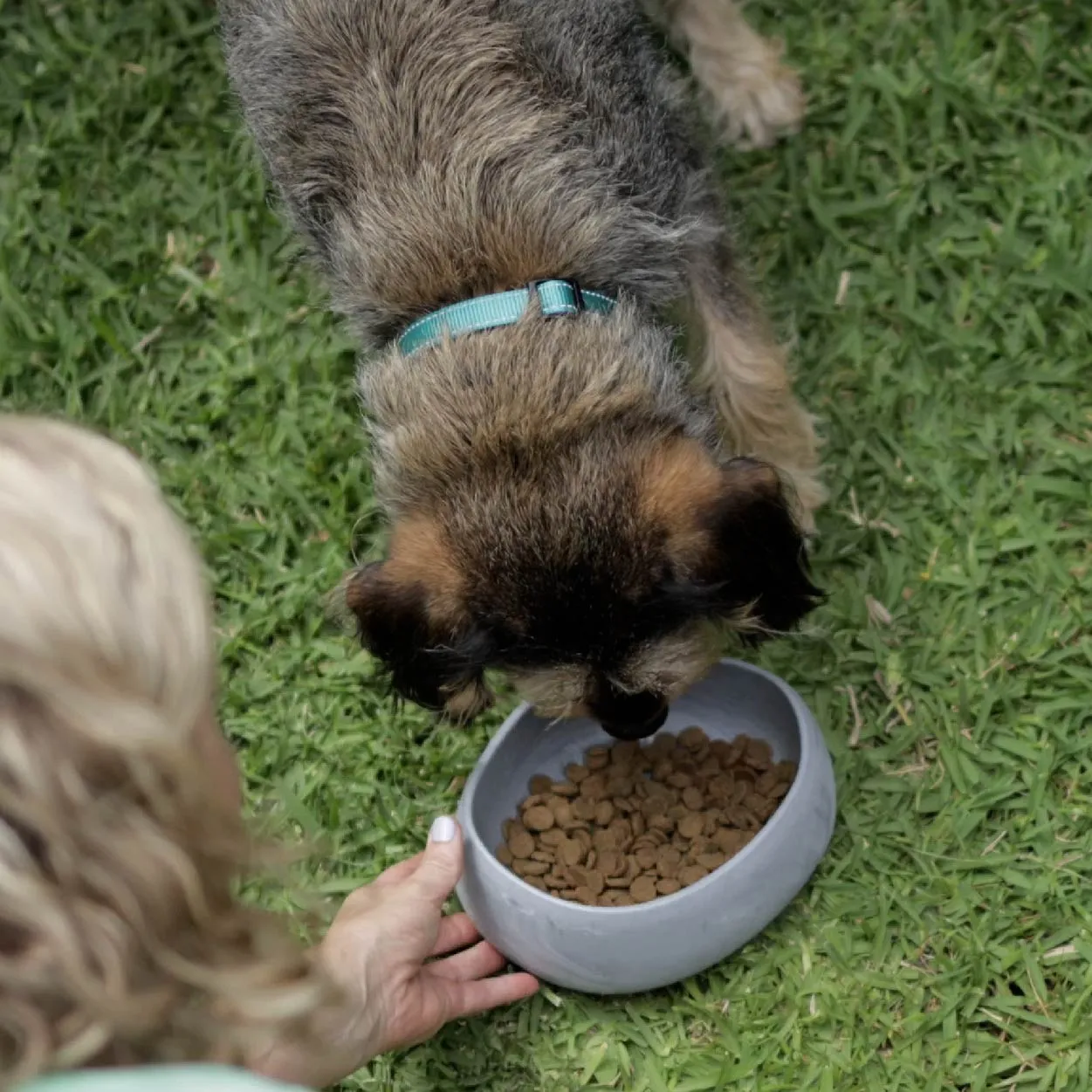 Better Bowl For Dogs - Ash Grey
