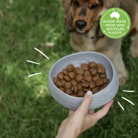 Better Bowl For Dogs - Ash Grey