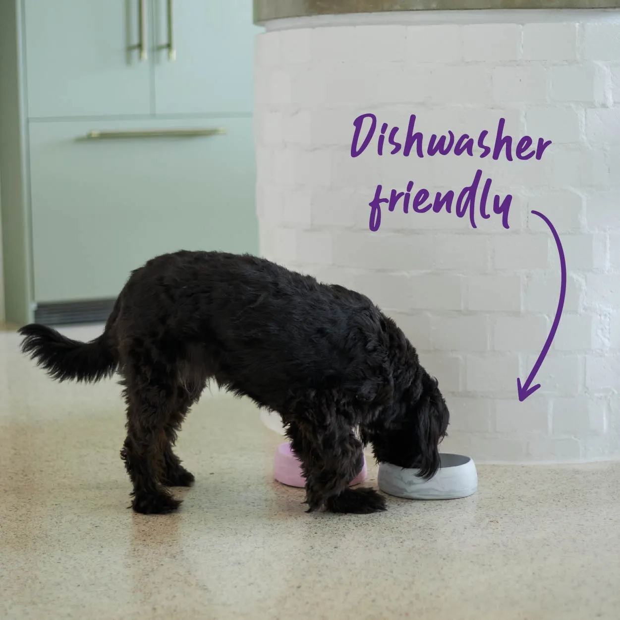 Better Bowl For Dogs - Ash Grey