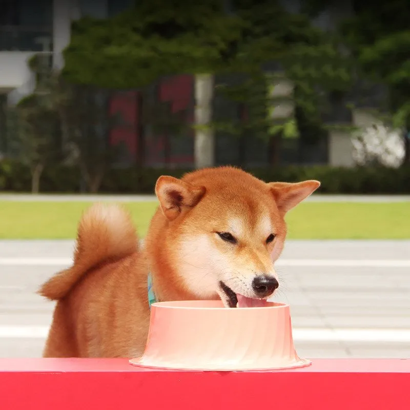 Dog bowl cat bowl healthy water bowl