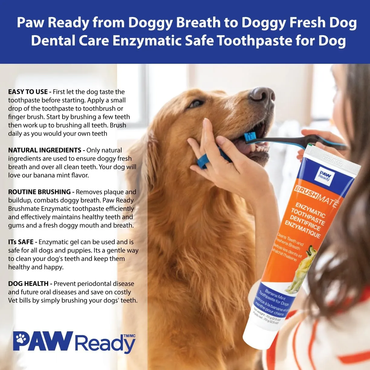 Doggy Breath to Doggy Fresh Dog Dental Care Kit Includes Enzymatic Toothpaste, Dual Brush Head Toothbrush with Angled Bristles and Blue Bite Block to Gently Keep Pets Jaw Open (Blue, Medium)