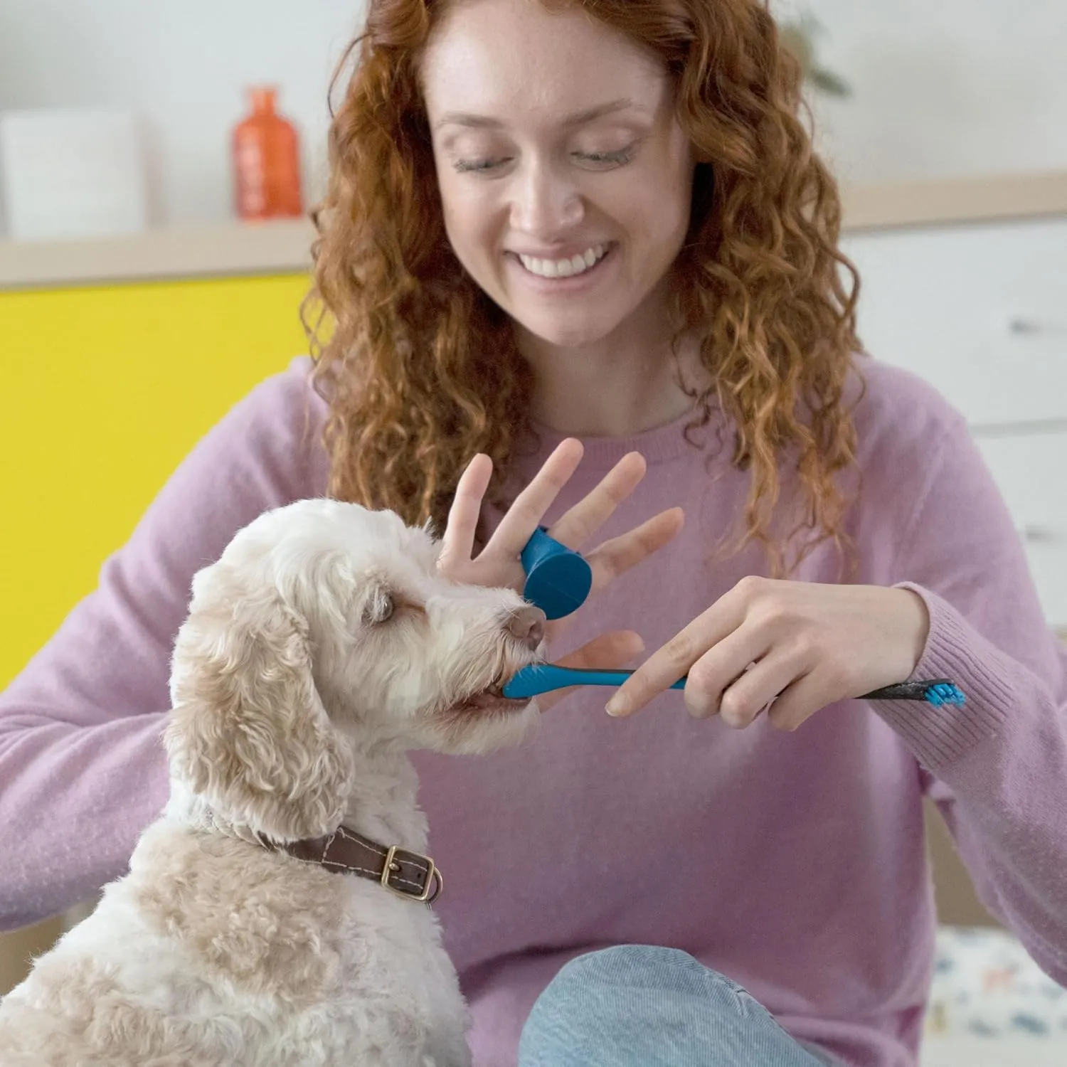 Doggy Breath to Doggy Fresh Dog Dental Care Kit Includes Enzymatic Toothpaste, Dual Brush Head Toothbrush with Angled Bristles and Blue Bite Block to Gently Keep Pets Jaw Open (Blue, Medium)