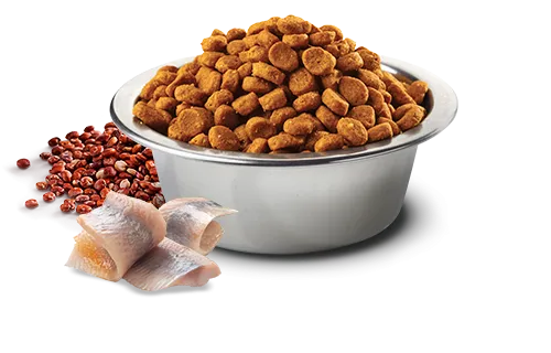 Farmina N&D Quinoa Skin & Coat Herring Dry Dog Food