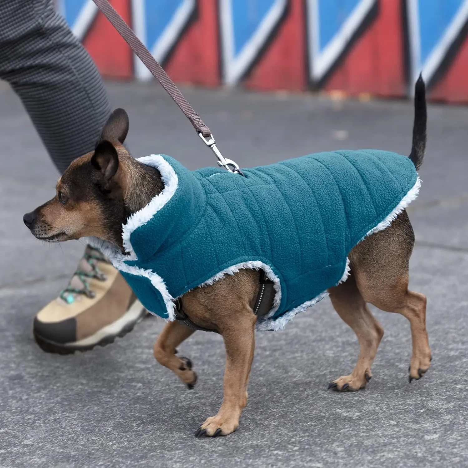 Furhaven Reversible XS Dog Coat, Washable & Insulating w/ Leash Access - Two-Tone Faux Fur & Quilted Fleece Flex-Fit Jacket - Marine Blue, Extra Small