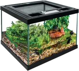Glass Terrarium with Ventilation Opening and Feeding Hole for Live Reptiles & Amphibians Bearded Dragon, Iguana, Turtles (8x8x6 Inches) with Reptile Carpet and Thermometer