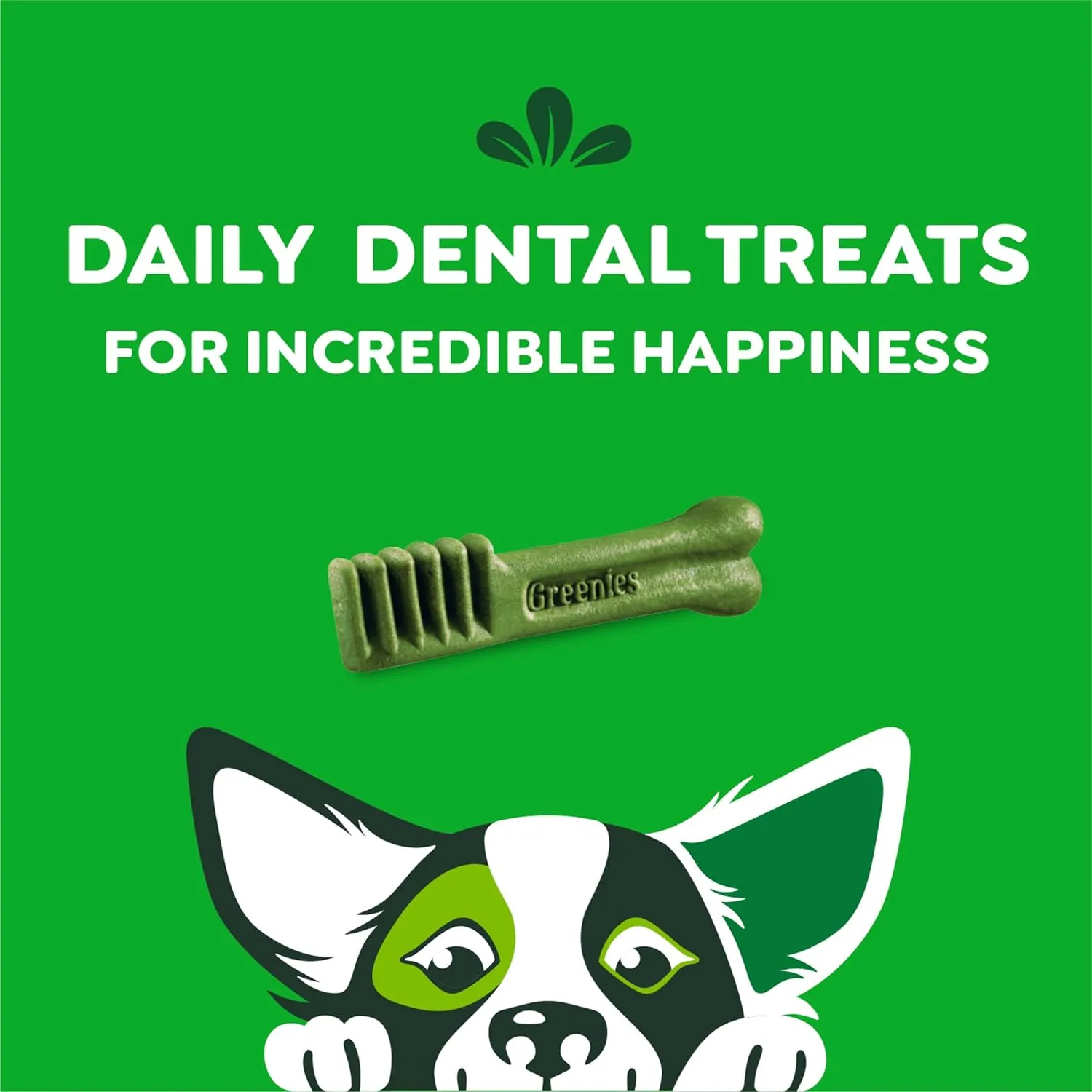 Greenies Original Petite Natural Dental Care Dog Treats, 36 oz. Pack (60 Treats)