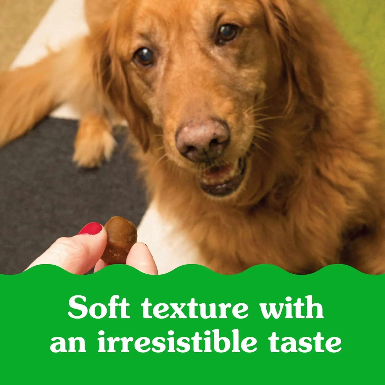 Greenies Pill Pockets Large Size Soft Dog Treats for Capsules, Chicken Flavor, Made with Natural Ingredients Plus Minerals & Trace Nutrients, 15.8 oz. (60 Count, Pack of 1)