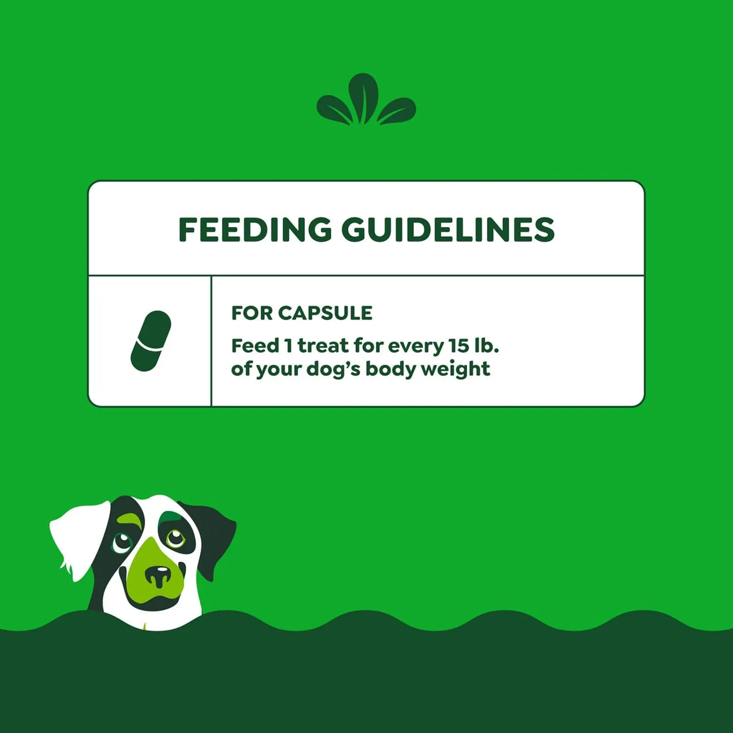 Greenies Pill Pockets Large Size Soft Dog Treats for Capsules, Chicken Flavor, Made with Natural Ingredients Plus Minerals & Trace Nutrients, 15.8 oz. (60 Count, Pack of 1)