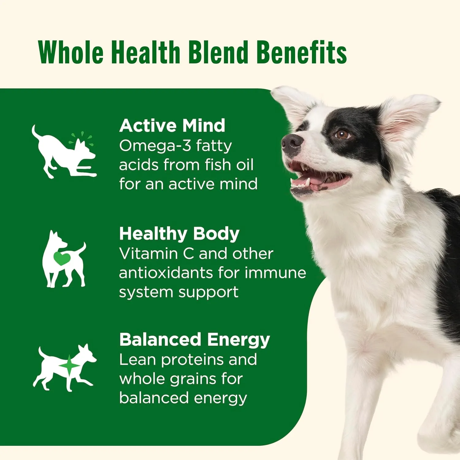 Nutrish Real Chicken & Veggies Recipe Whole Health Blend Dry Dog Food, 40 lb. Bag, Packaging May Vary (Rachael Ray)
