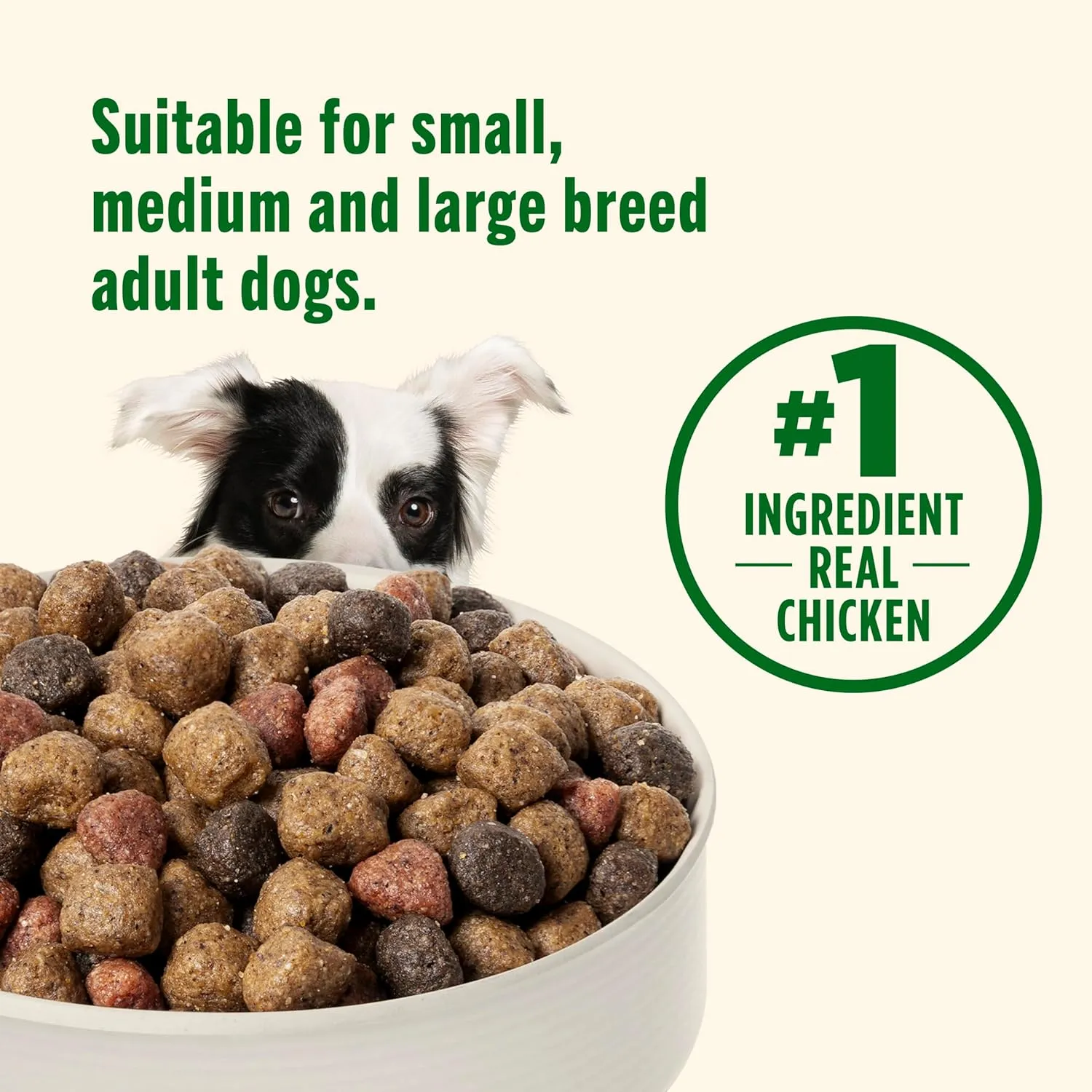 Nutrish Real Chicken & Veggies Recipe Whole Health Blend Dry Dog Food, 40 lb. Bag, Packaging May Vary (Rachael Ray)