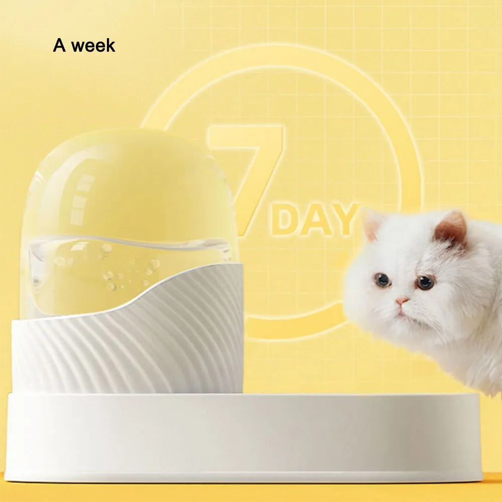 PAWS ASIA Wholesale New Luxury Automatic Plastic Food And Water Self Filling Double Dog Bowl Cat Set
