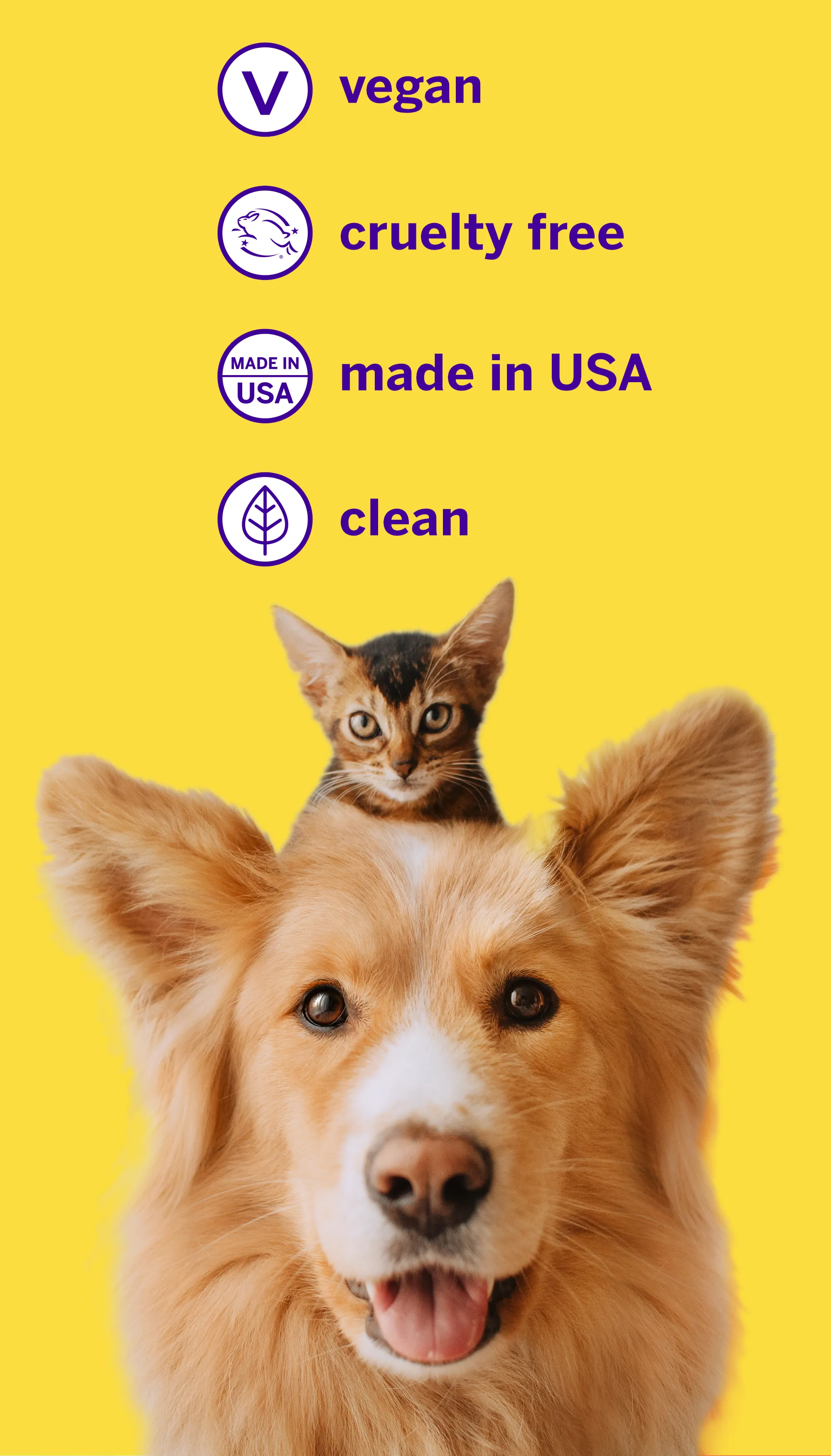 Professional Pet Toothpaste - London Broil Flavor - Small