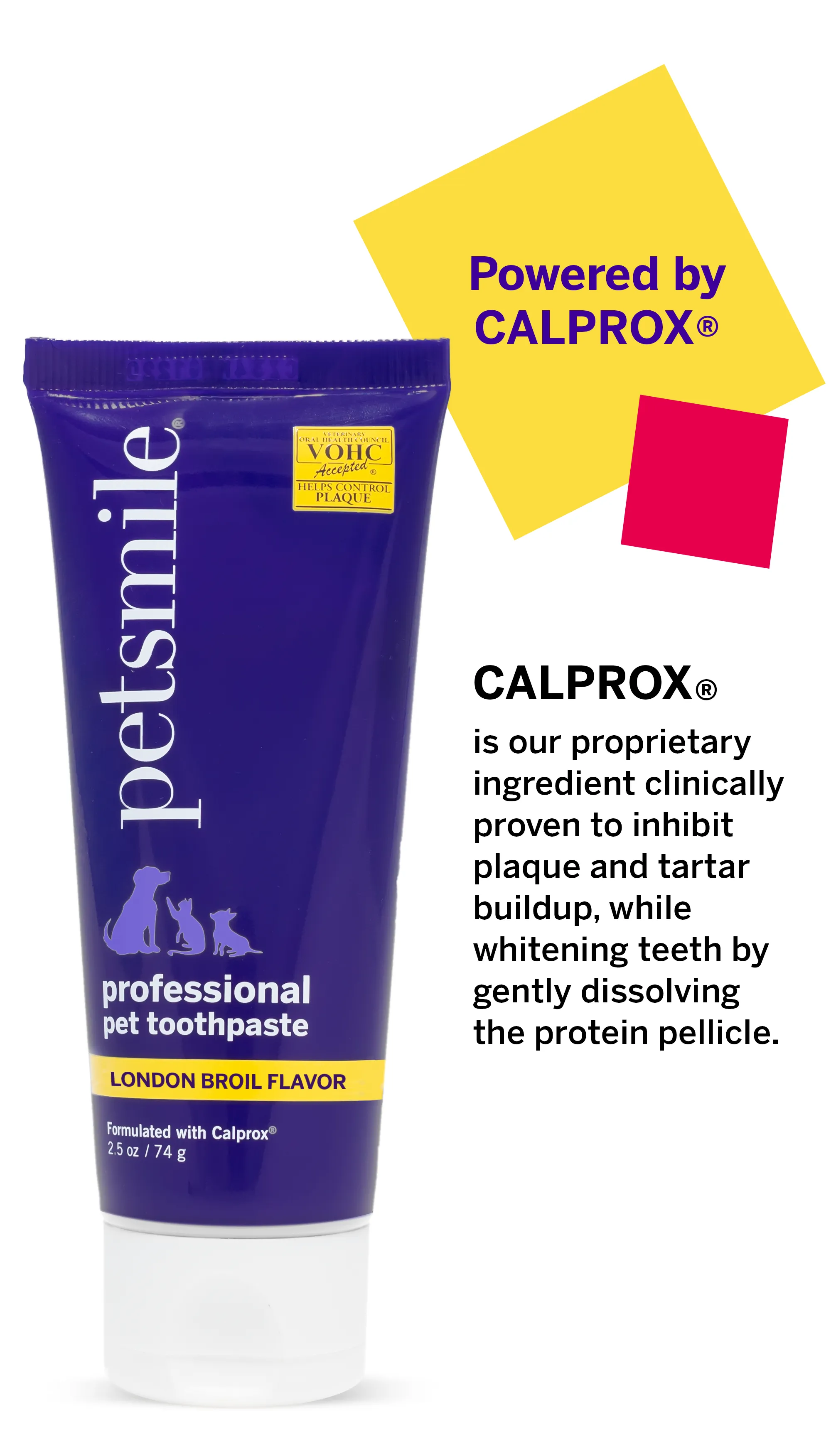 Professional Pet Toothpaste - London Broil Flavor - Small