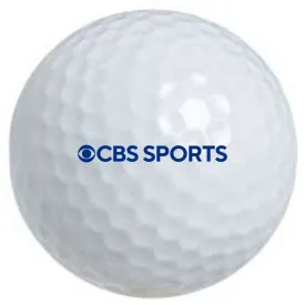 Titleist ProVI Golf Balls (purchased by the dozen)