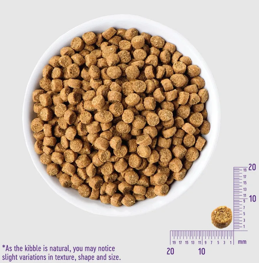 Wellness Complete Health Grain Free Adult Deboned Chicken & Chicken Cat Food - 5.8 lbs.
